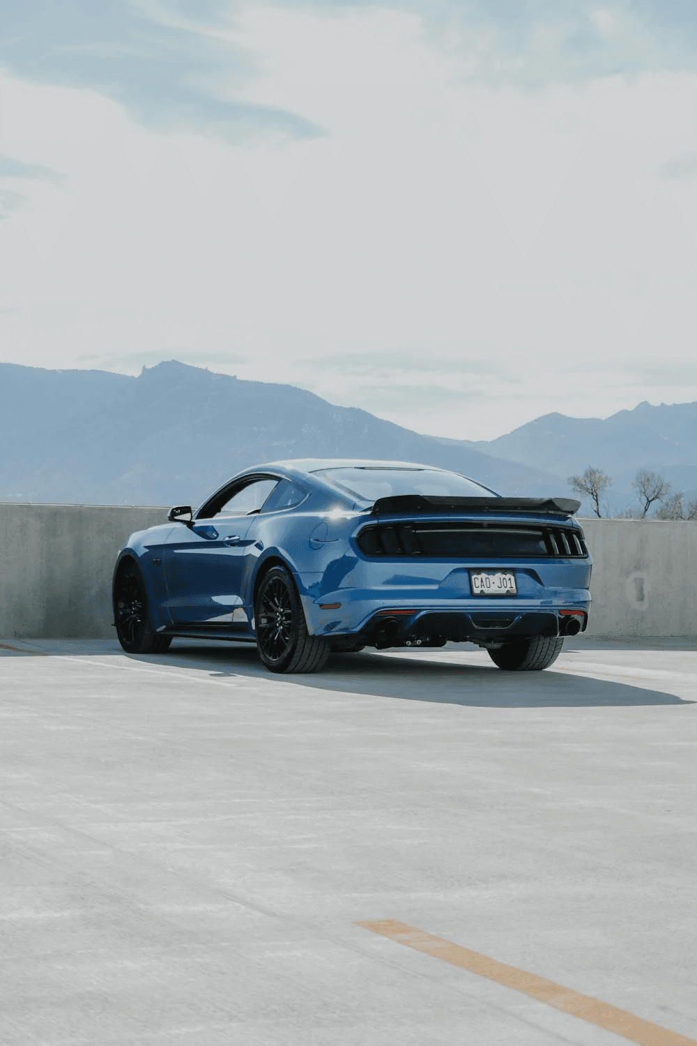 mustang hero picture